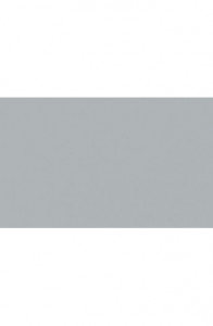 BD Backgrounds Stüdyo Fon  (Steel Gray 150)