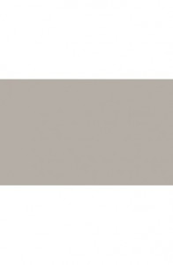 BD Backgrounds Stüdyo Fon  (Pursuit Gray 123)