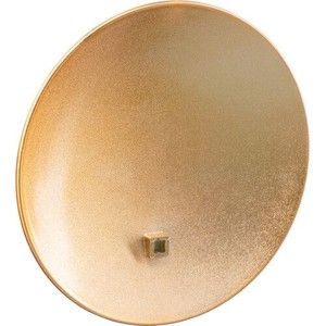  Elinchrom Softlite 44cm Gümüş Reflektör